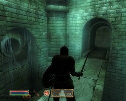 The Elder Scrolls 4: Oblivion