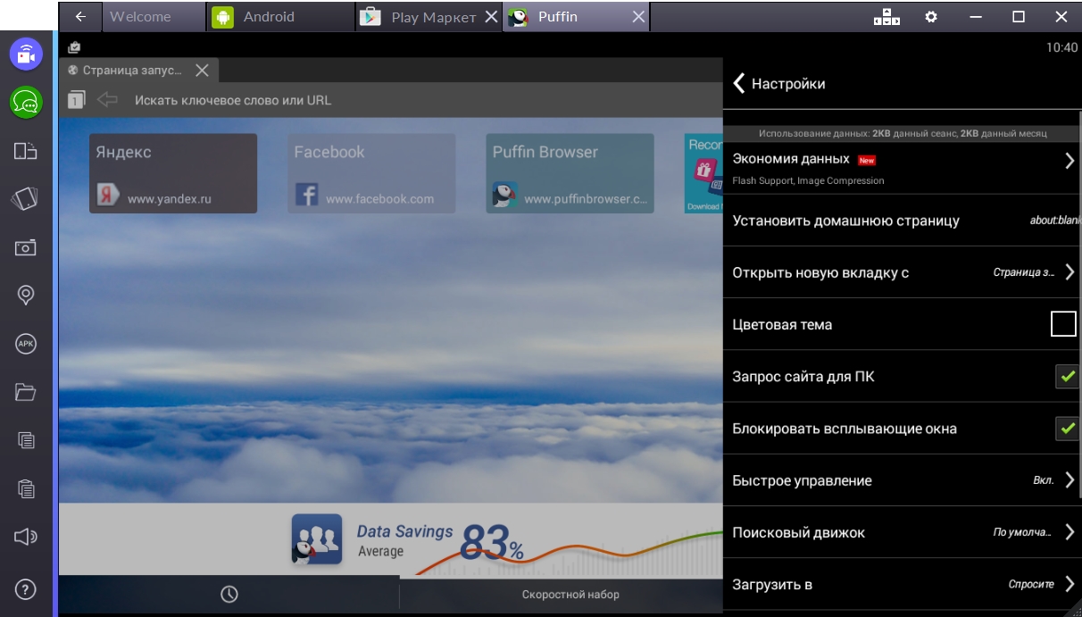 puffin-web-browser-nastrojki